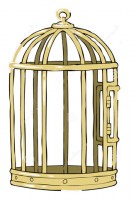 bird-cage-white-background-32354566