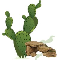 cactus-vector-440109
