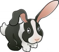 cute-lovable-rabbit-vector-ill-5078958
