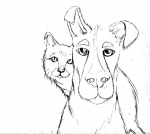 Σκύλος - Γάτα