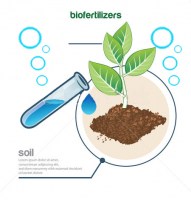 stock-vector-plant-and-fertilizer-194139566