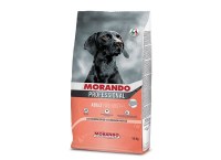 Morando_Professional-Age_7_senior_Salmon